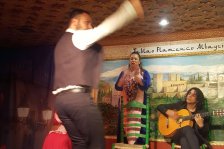564 granada flamenco show